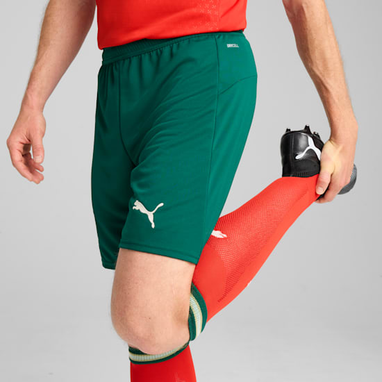 PUMA FPF PORTUGAL SHORT